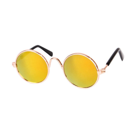Coloured Dog Glasses